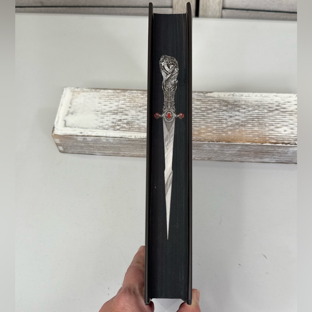 WHERE SHADOWS MEET (By Patrice Caldwell) Fairyloot Edition Hardcover - Picture 11 of 12